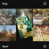 sergioveron606