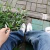 elfashoo77