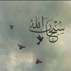 om_talal707