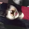 _lovepondphuwin45