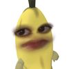 chamoyxd111