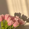 sindifs_20