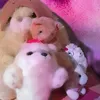jjyueon_kjzz