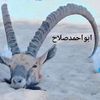user7806598191656