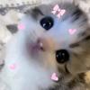woominpacarku