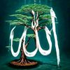 alhamdulilla__7