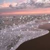 violetsunrise44
