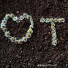 wetin_muhamed