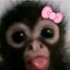 reut129