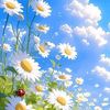 hosam.12345