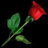 user94372061594946