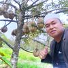 Wahyu Bibit Berkah