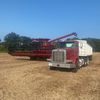 carlsonfarmer1971