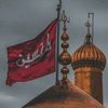 tanha.abbasi447