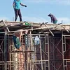 honghi0868