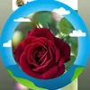 rodica.rodica15