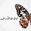 hebaa_ahmed1