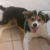 meninagrandemulher86