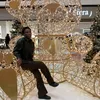 samira.fernandes63