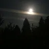 ayaanafzal97