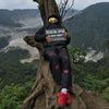alfarisii_11