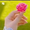 islamicvideo13090