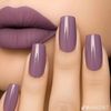 aysen_2025
