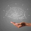 cortesdocerebro