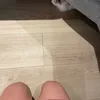 kqkakala
