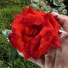 user585171974173