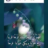 user8818888487253
