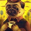 mrpug.neverdies