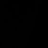 cnvzm