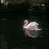 scomh_23