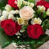 kamilia_souilmi