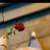saadia.rajab.abd