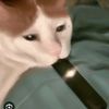 gast_xsb.wt