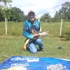 clodoaldo.pereira38