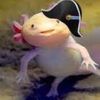 captain.axolotl2