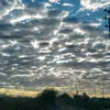 galvan_128