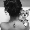 ta.codm
