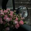 s_iij78