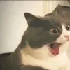 namanhlacuatao