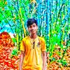 mdshakilhasan7417