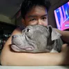 stephenfr22