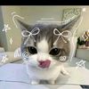 kyal.zin.phyo422