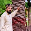 hafiz.riyaz.qadri