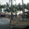paifan_k
