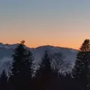 free_in_nature