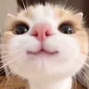 mari.o9o1